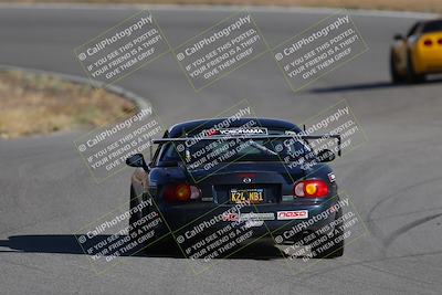 media/Nov-19-2023-Extreme Speed (Sun) [[bd0eec5490]]/Red/Back Shots/